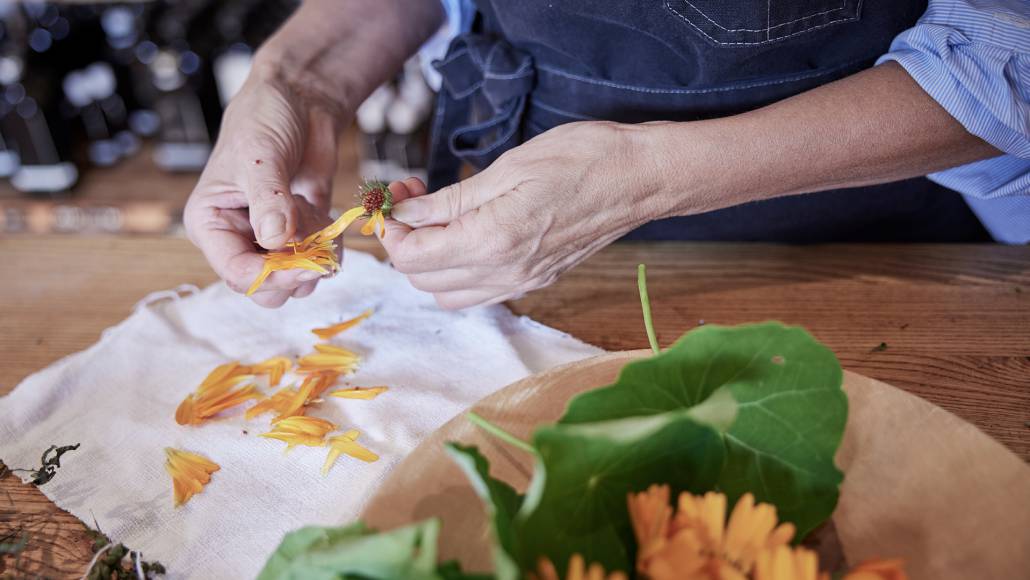 Kräuterworkshop im Kräuterhotel Der Brandstetterhof
