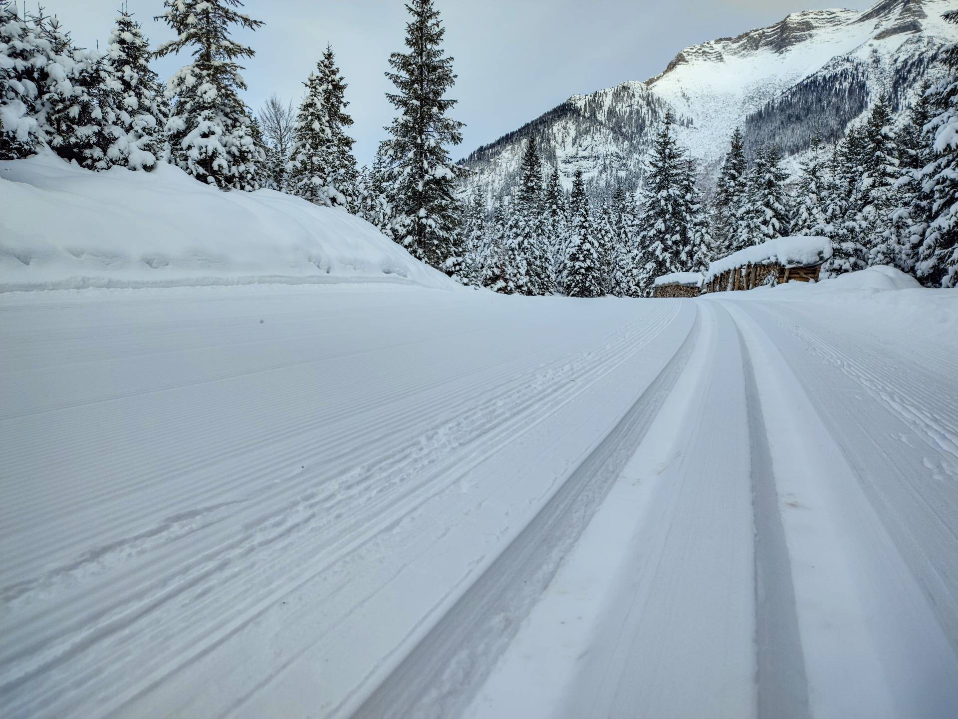 Ski Langlauf im Winter