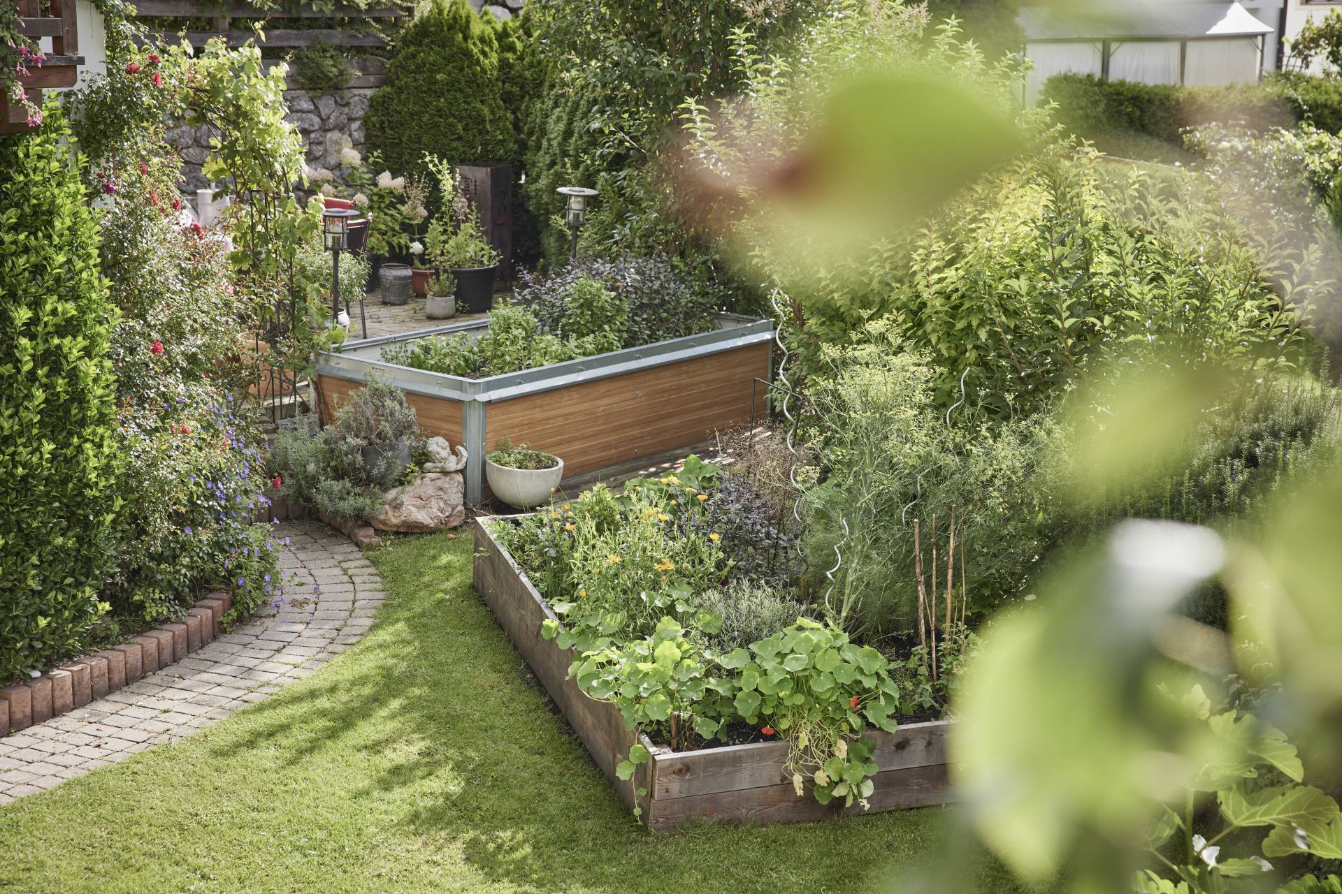 Groenten- en kruidenteelt: Vitaminen & topkwaliteit - Der Brandstetterhof