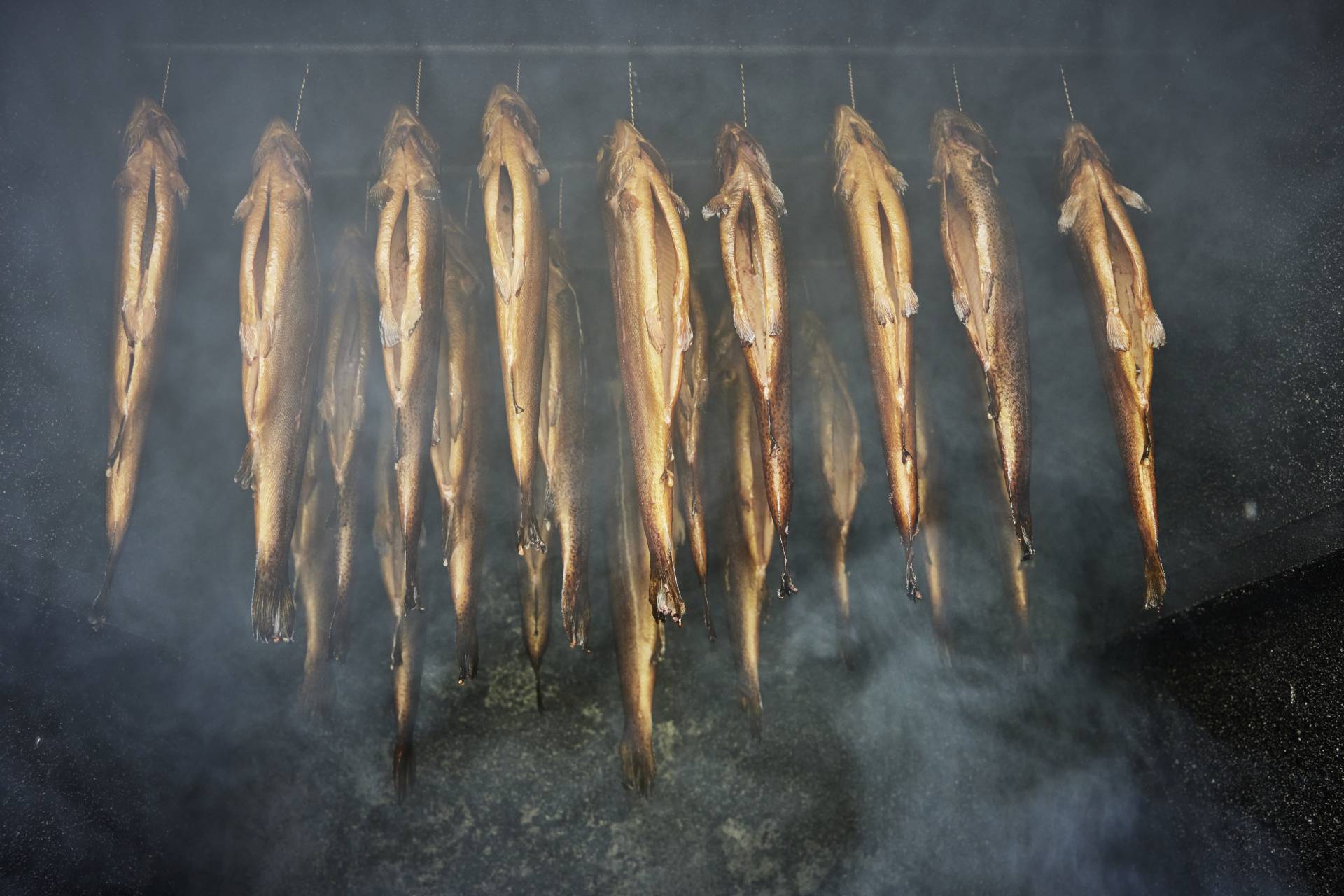 Frische beim Räuchern im Räucherofen