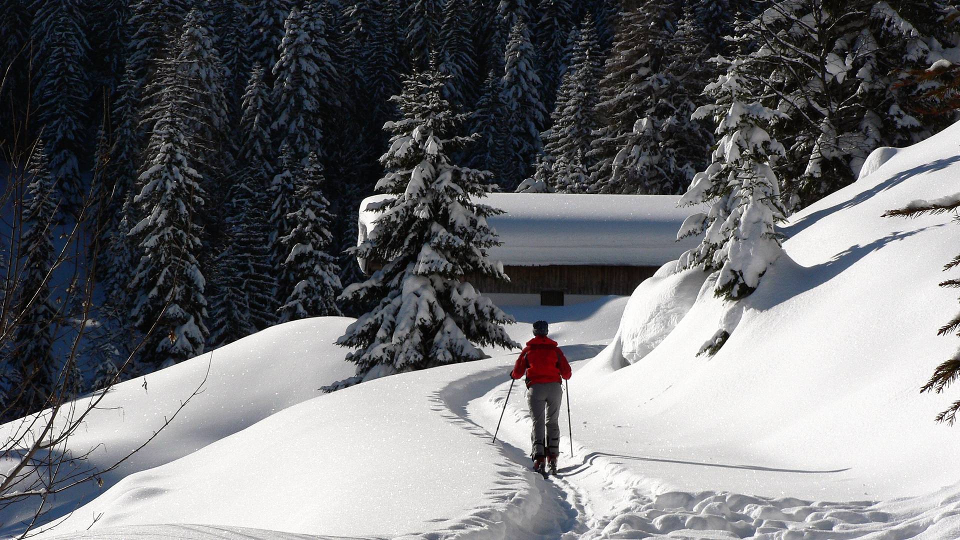 Frau bei Skitour in den Bergen