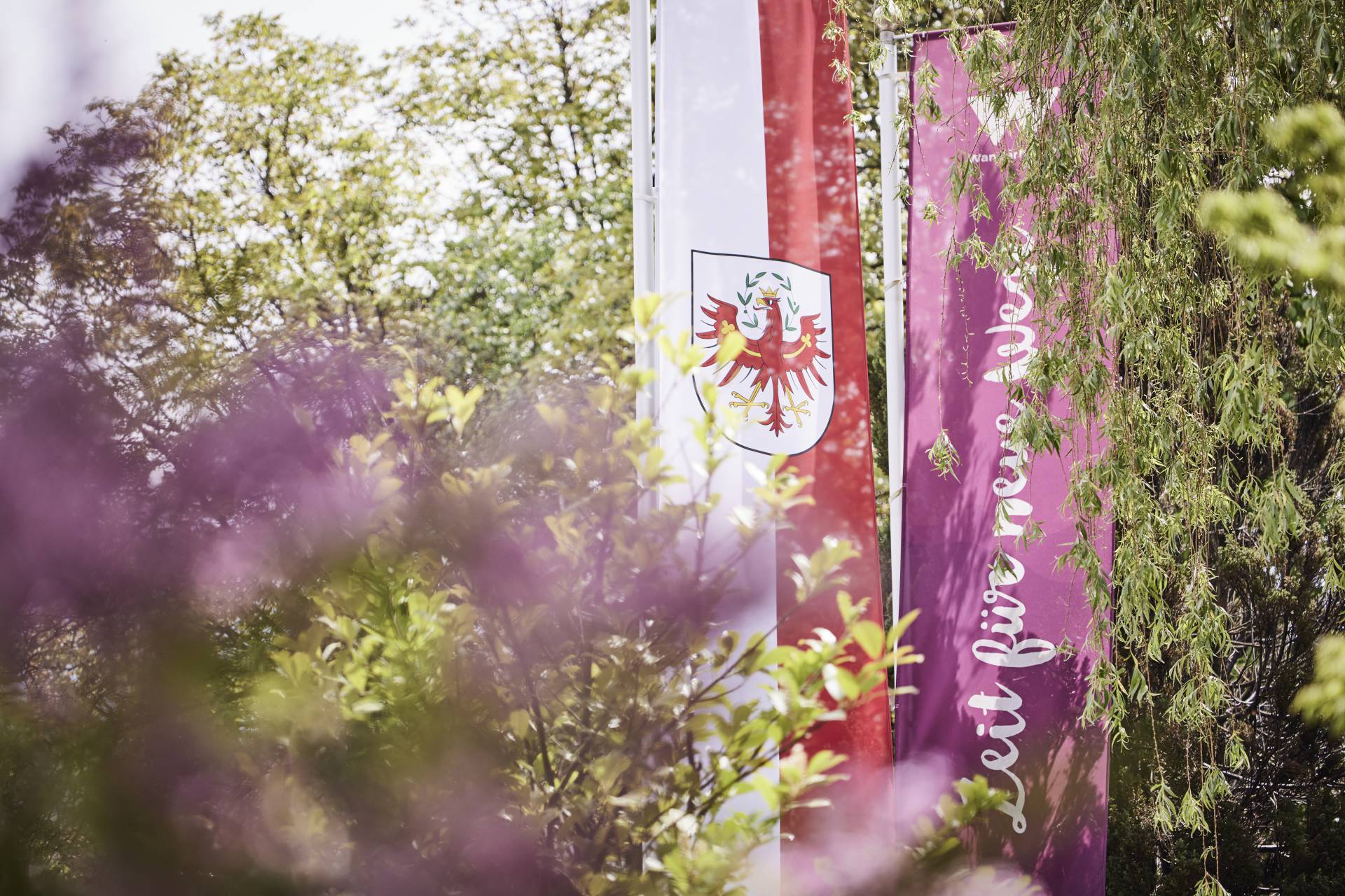 Hotelfahnen Der Brandstetterhof