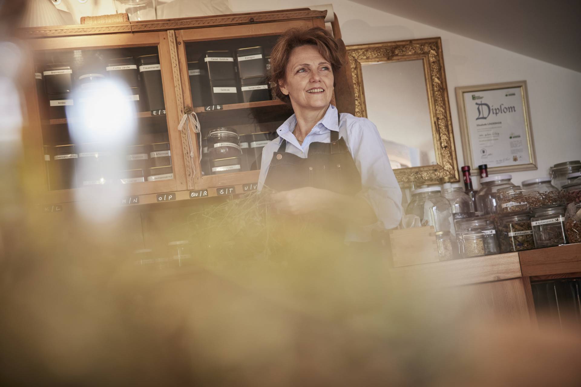 Elisabeth Lindebner: Vášnivá bylinkářka - Der Brandstetterhof