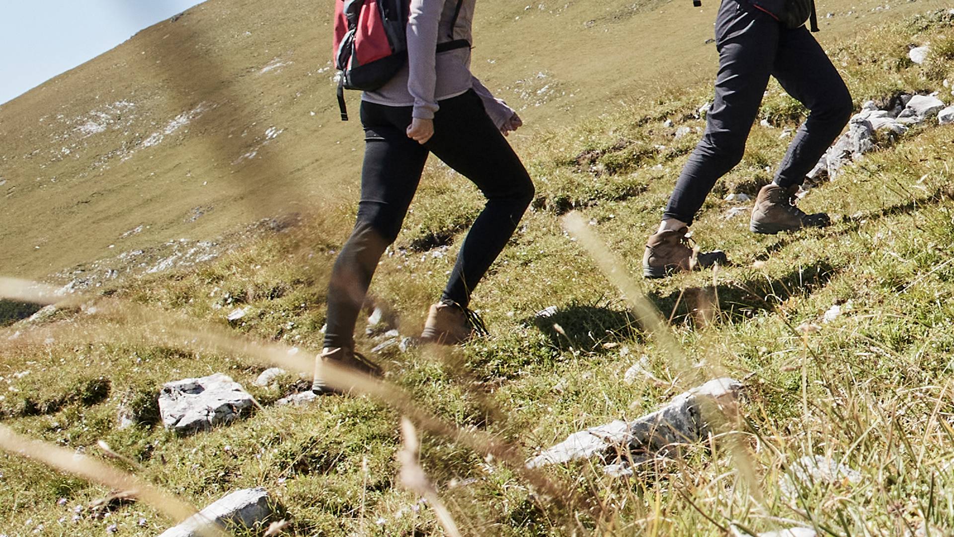 WanderService: RundumService das ganze Jahr - Der Brandstetterhof