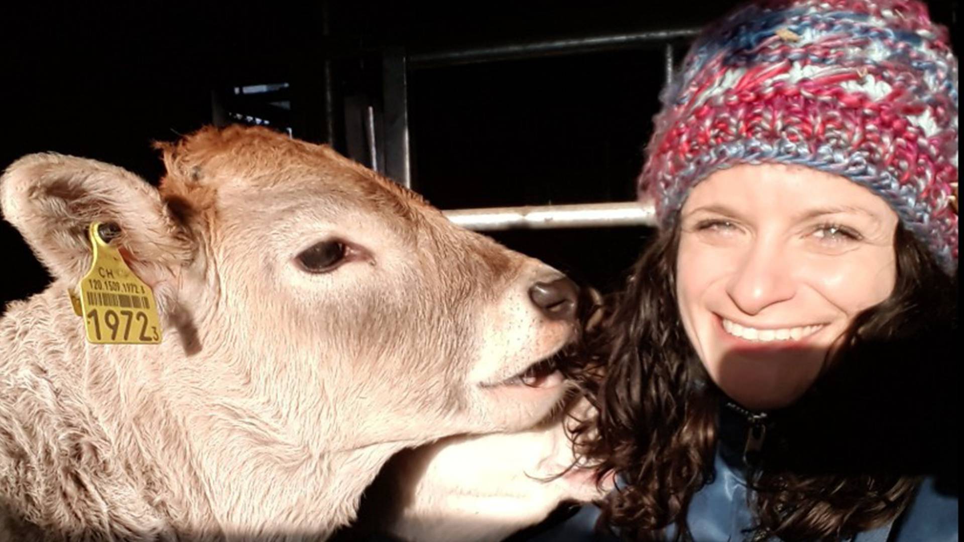 Marlen Koch-Mathis: Auf einmal ist alles anders - Der Brandstetterhof