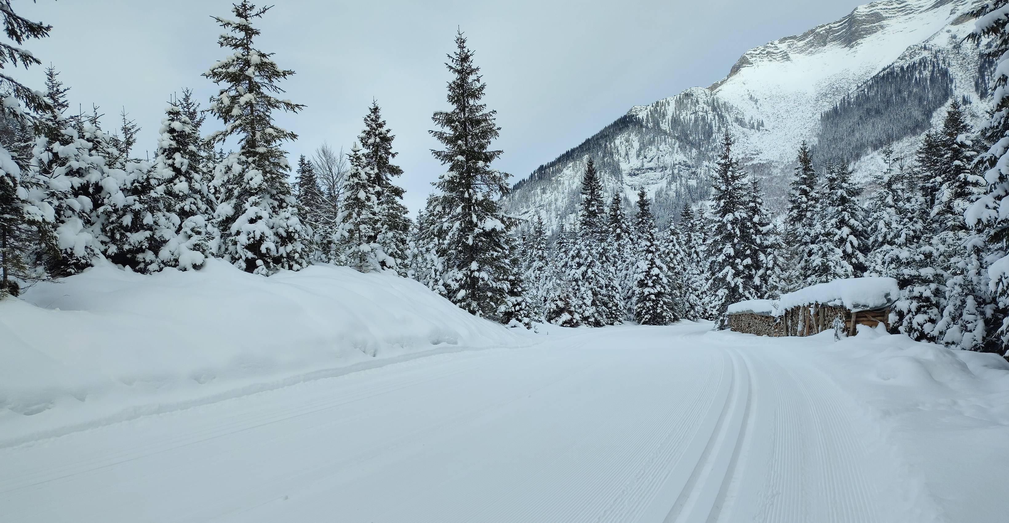 Le parc naturel du Karwendel - Der Brandstetterhof
