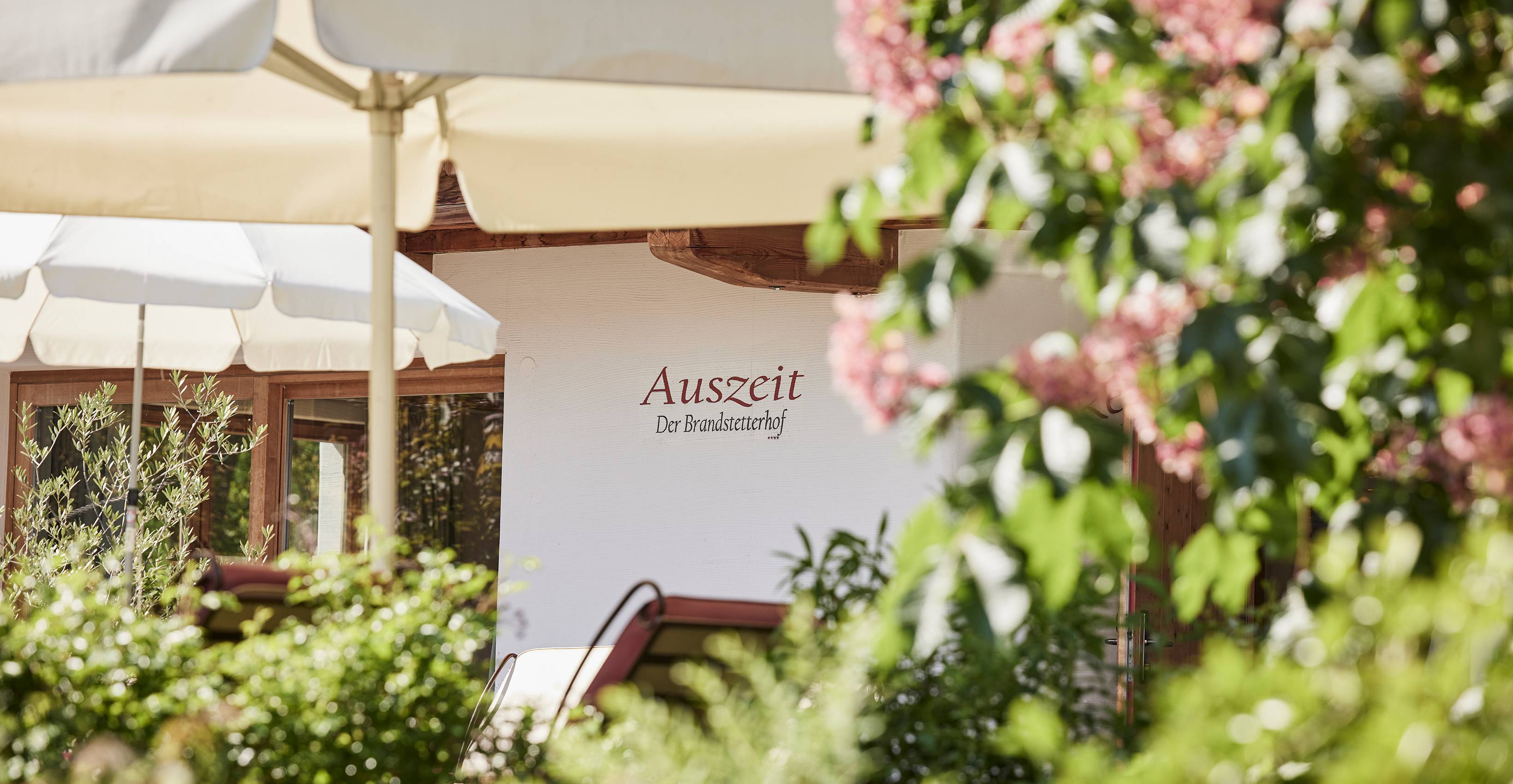 Baum mit Kastanienblüte Im Hintergrund Liegestühle im Wellnesshotel Der Brandstetterhof