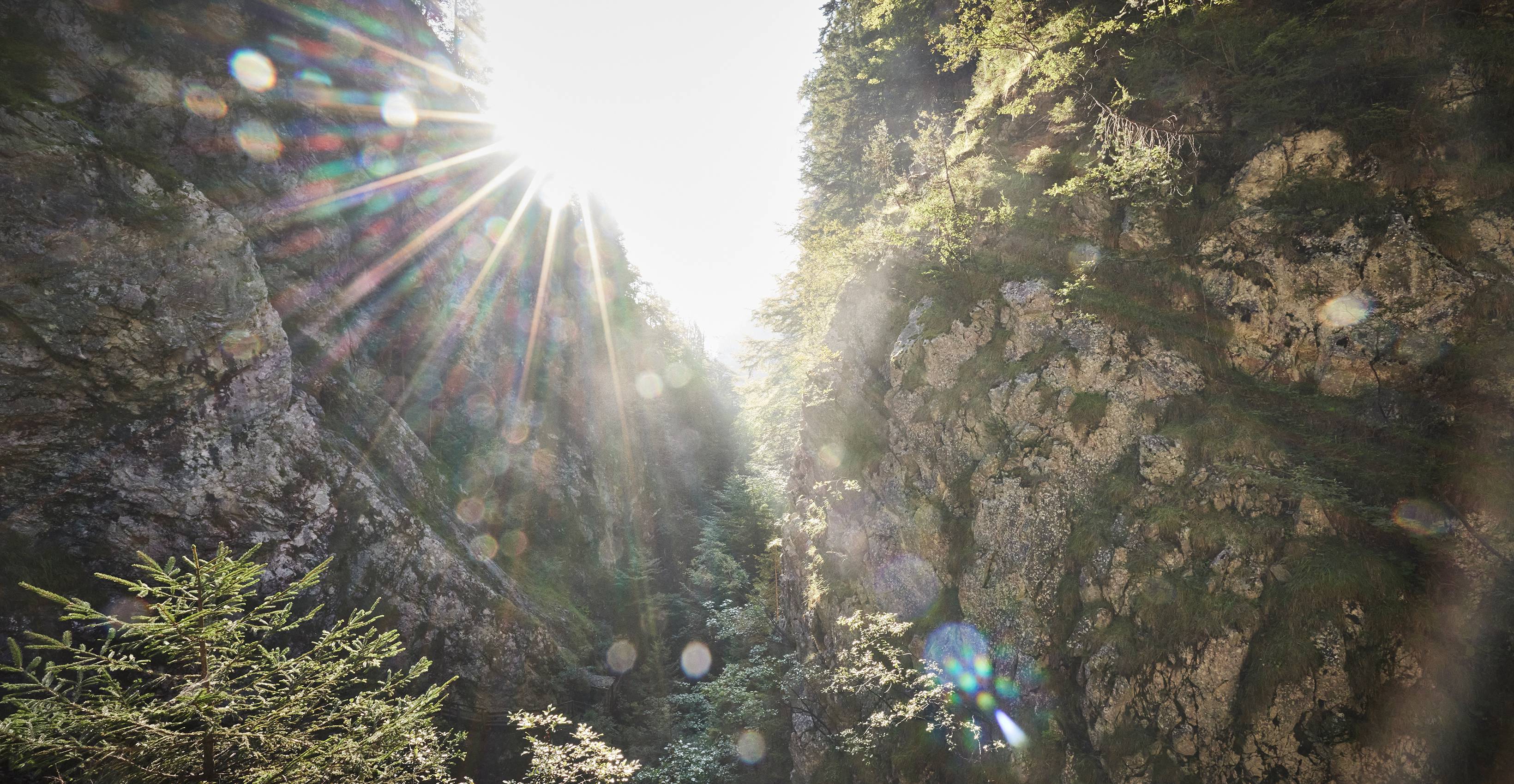 Romantique et sauvage - Der Brandstetterhof