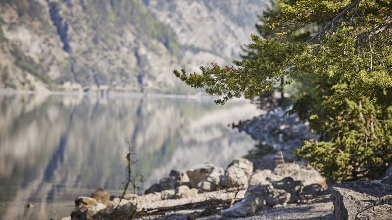Steiniges Seeufer am Achensee