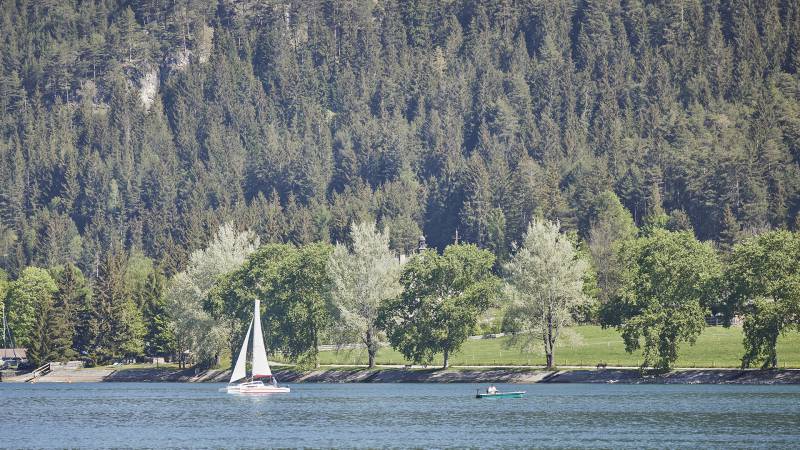 Baumallee am Seeufer und Segelboot auf dem Wasser