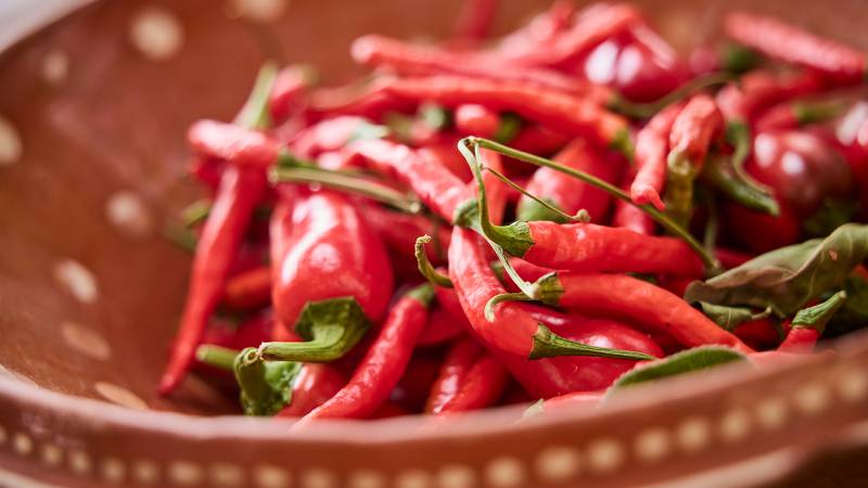 rote Chili im Gemüsegarten - Der Brandstetterhof