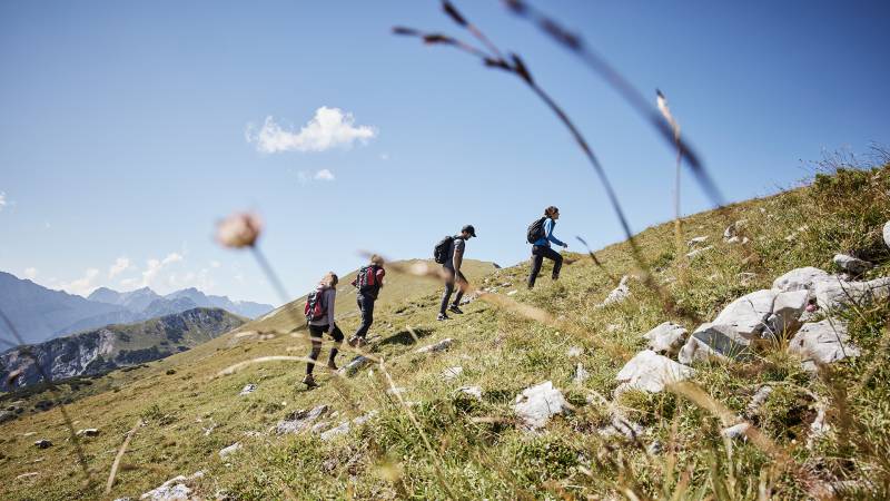Turistická vášeň v Tyrolsku: Turistická dovolená na jaře a v létě - Der Brandstetterhof
