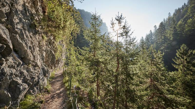 Wandersteig Wolfsklamm - Der Brandstetterhof