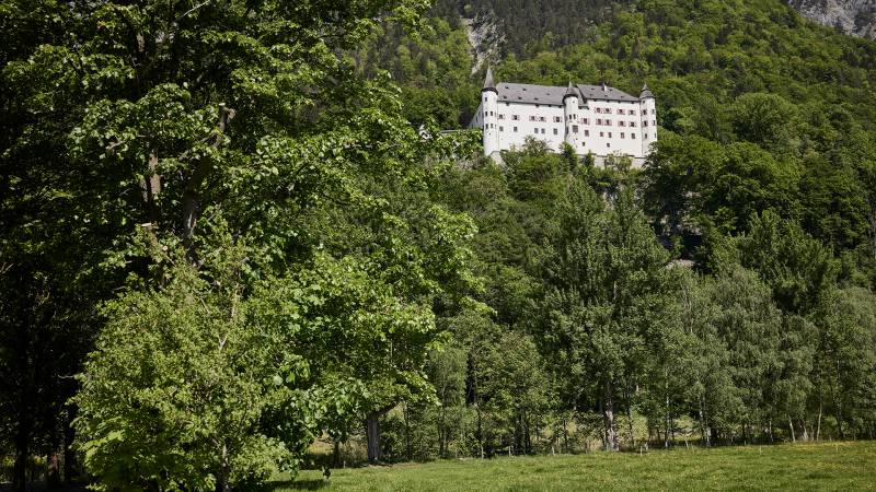 Das Schloß Tratzberg im Wald - Der Brandstetterhof