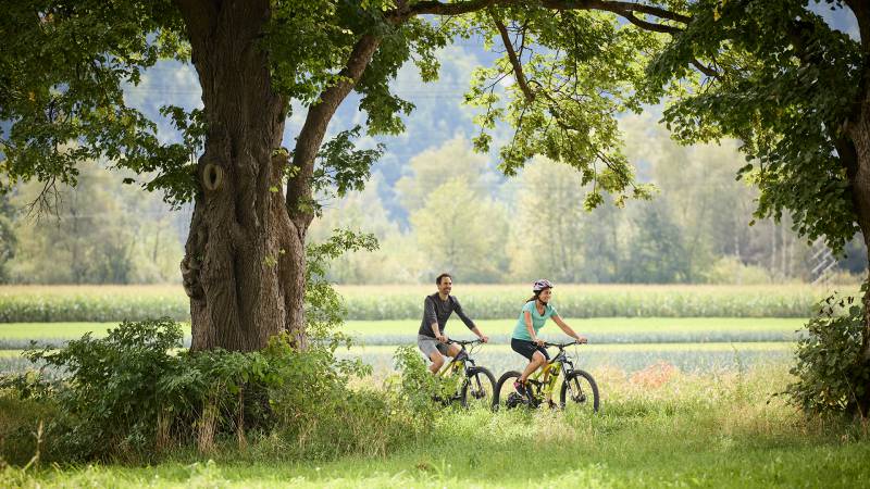 Zwei Mountainbiker fahren durch Allee - Der Brandstetterhof