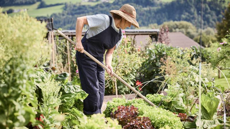Elisabeth Lindebner im Gemüsegarten - Der Brandstetterhof