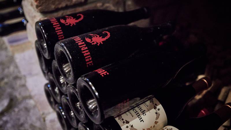 Weinkeller mit Club Batonnage - Der Brandstetterhof