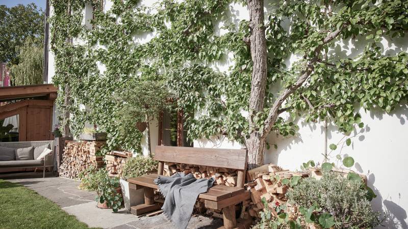 Bank im Garten dahinter Marillenbäume an der Hauswand