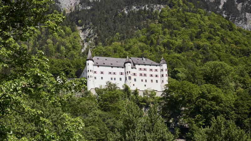 Das Schloß Tratzberg in Stans steht im Wald