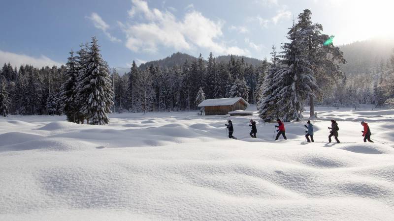 Schneeschuhwandergruppe in der tief verschneiten Winterlandschaft und Sonnenschein