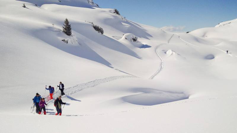 Schneeschuhwandergurppe im Rofangebirge mit beeindruckender Winterlandschaft