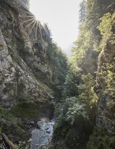 Wanderweg am Wolfsklamm