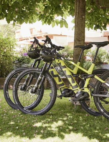 Ebikes an Laubbaum gelehnt