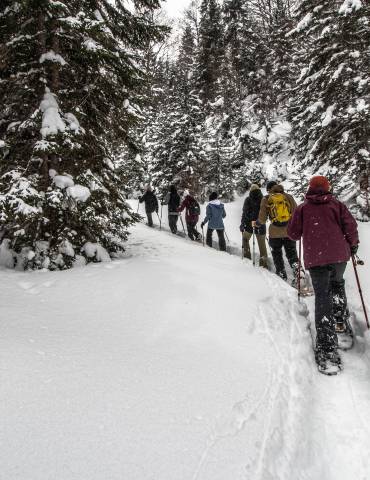 Langlauf im Winter