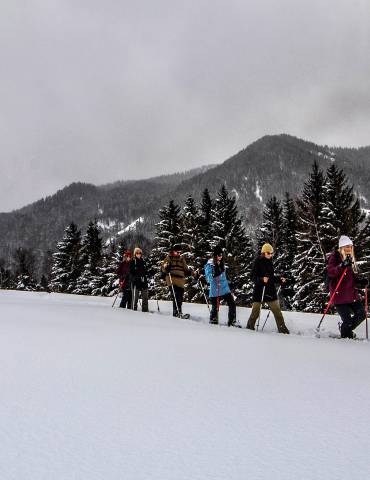 Wandergruppe im Schnee