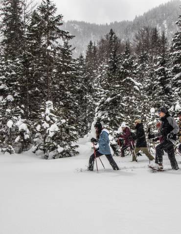 Geführte Schneewanderung im Naturpark Karwendel