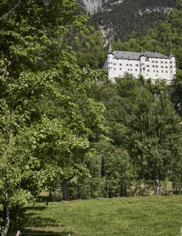 Burg in grüner Sommerlandschaft 