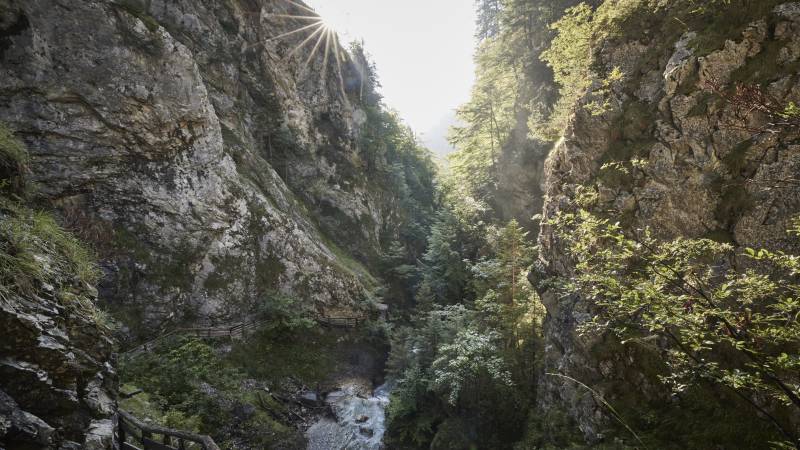 Wanderweg am Wolfsklamm