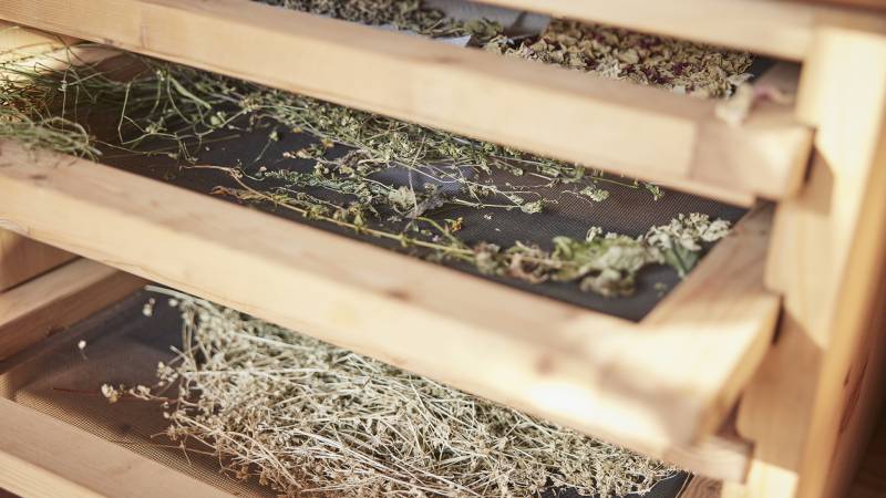 The world of herbs: Herb workshop - Der Brandstetterhof