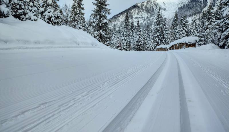 Ski Langlauf im Winter