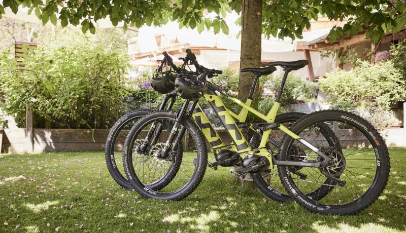 Ebikes an Laubbaum gelehnt