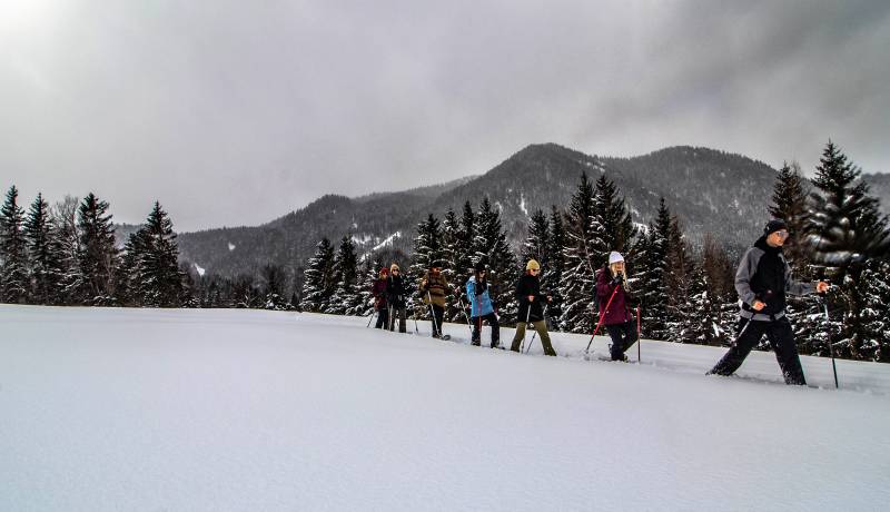 Wandergruppe im Schnee