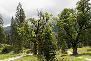 The Karwendel Nature Park in Tyrol